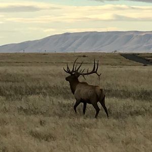 Meet your Posher, Edward